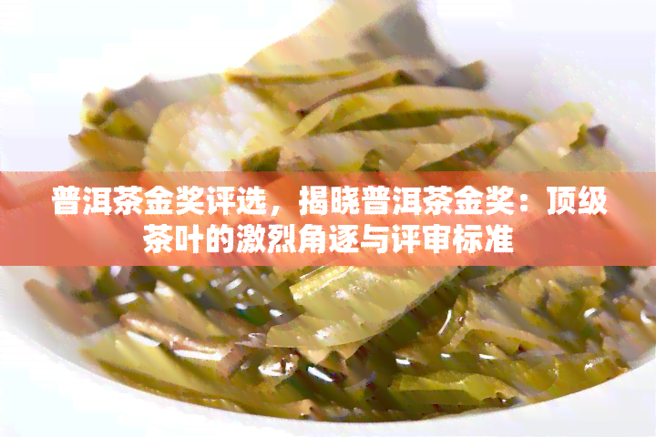 普洱茶金奖评选，揭晓普洱茶金奖：顶级茶叶的激烈角逐与评审标准