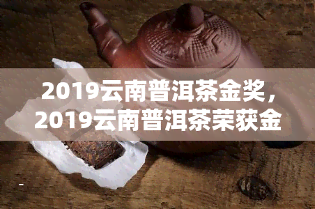 2019云南普洱茶金奖，2019云南普洱茶荣获金奖，品质备受认可！