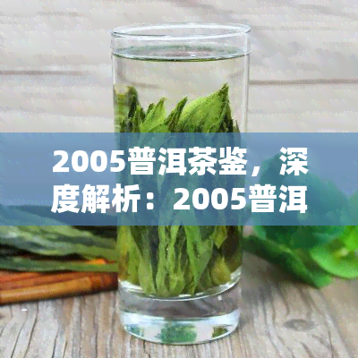 2005普洱茶鉴，深度解析：2005普洱茶鉴指南