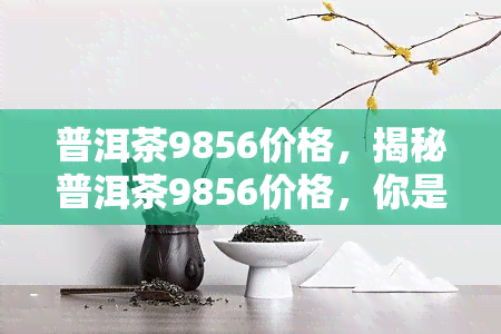 普洱茶9856价格，揭秘普洱茶9856价格，你是否被市场误导了？