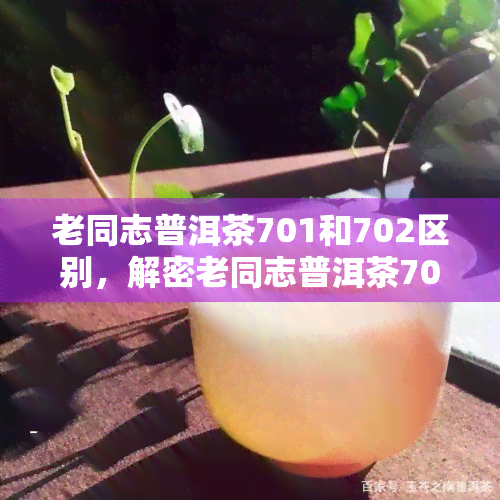 老同志普洱茶701和702区别，解密老同志普洱茶701与702的差异，有何不同之处？