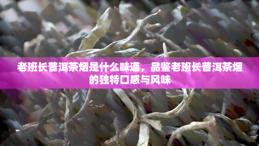 老班长普洱茶是什么味道，品鉴老班长普洱茶的独特口感与风味