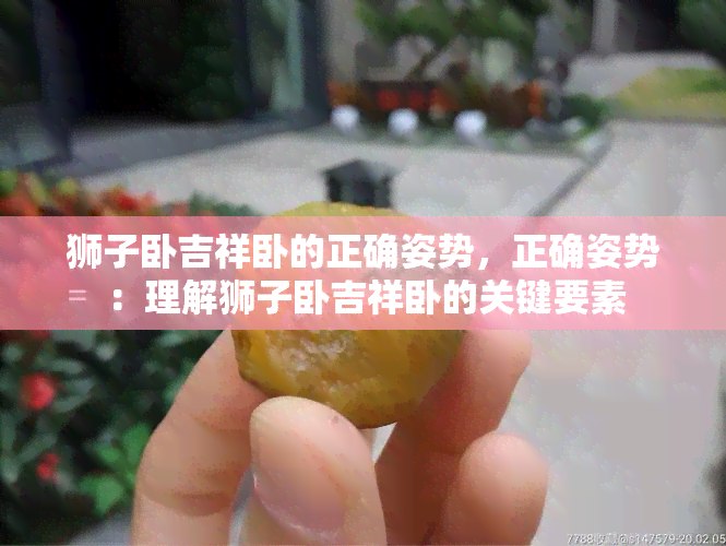 狮子卧吉祥卧的正确姿势，正确姿势：理解狮子卧吉祥卧的关键要素