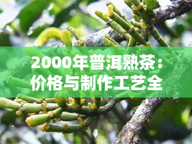 2000年普洱熟茶：价格与制作工艺全解析