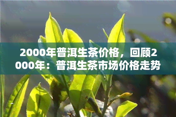 2000年普洱生茶价格，回顾2000年：普洱生茶市场价格走势分析