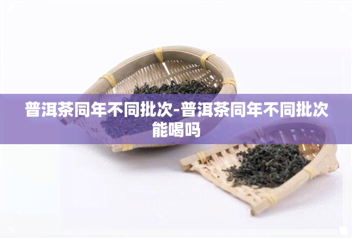 普洱茶同年不同批次-普洱茶同年不同批次能喝吗