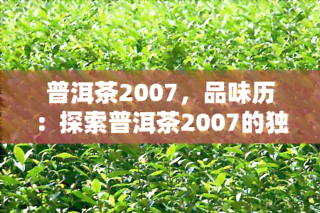 普洱茶2007，品味历：探索普洱茶2007的独特韵味与文化价值