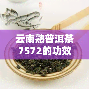 云南熟普洱茶7572的功效是否会消退？探究7581与7571的区别