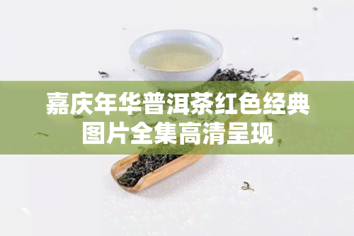 嘉庆年华普洱茶红色经典图片全集高清呈现