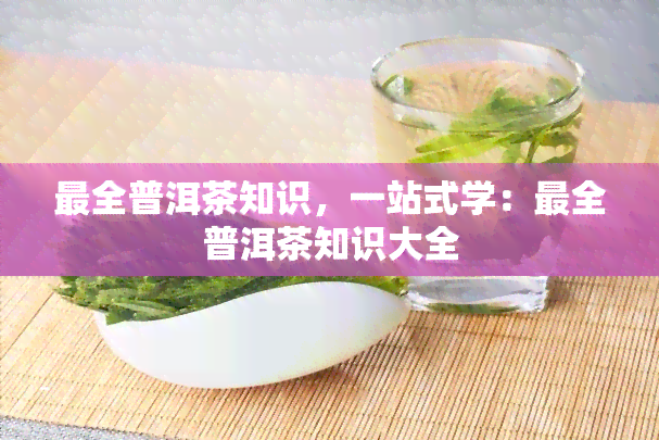 最全普洱茶知识，一站式学：最全普洱茶知识大全