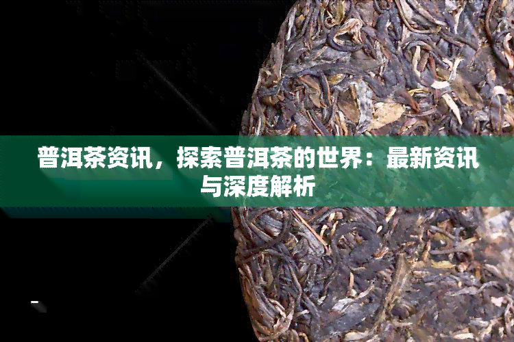 普洱茶资讯，探索普洱茶的世界：最新资讯与深度解析