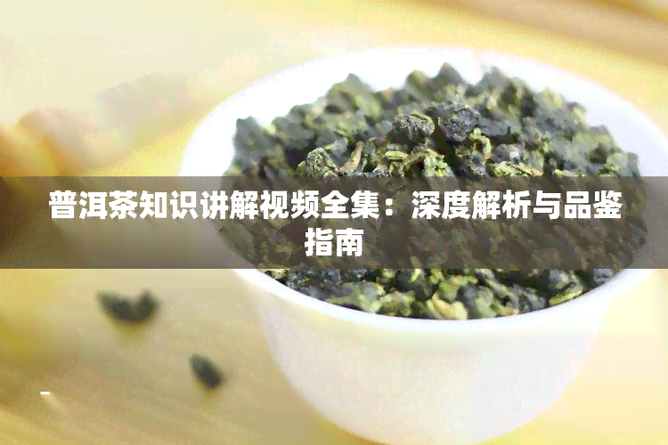 普洱茶知识讲解视频全集：深度解析与品鉴指南