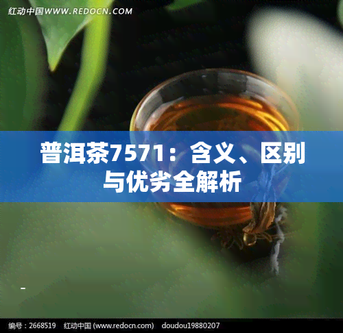 普洱茶7571：含义、区别与优劣全解析