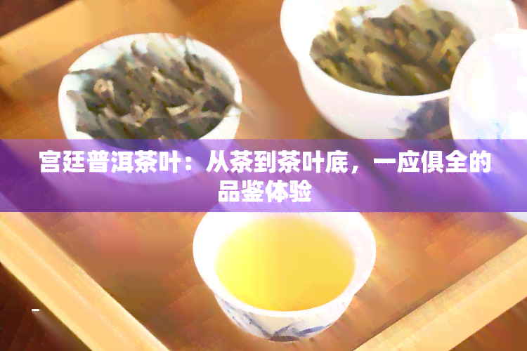 宫廷普洱茶叶：从茶到茶叶底，一应俱全的品鉴体验