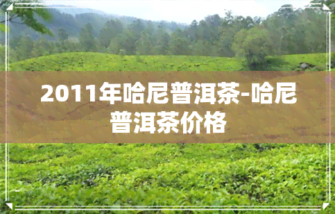 2011年哈尼普洱茶-哈尼普洱茶价格
