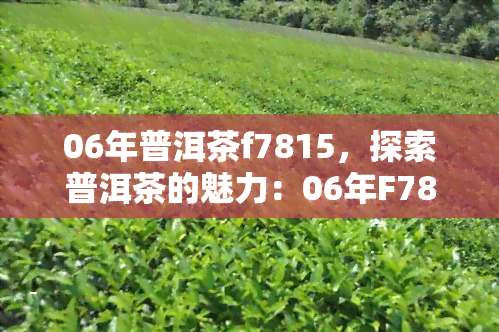 06年普洱茶f7815，探索普洱茶的魅力：06年F7815的品鉴与分析
