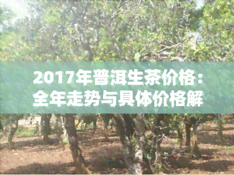 2017年普洱生茶价格：全年走势与具体价格解析