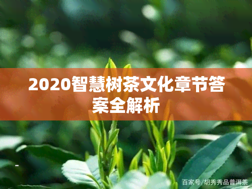 2020智慧树茶文化章节答案全解析