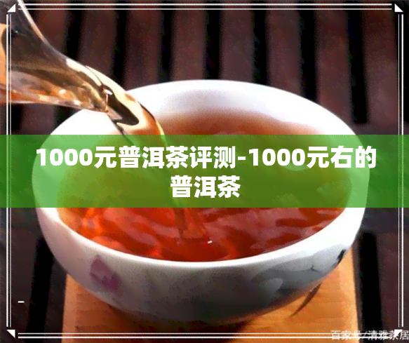 1000元普洱茶评测-1000元右的普洱茶
