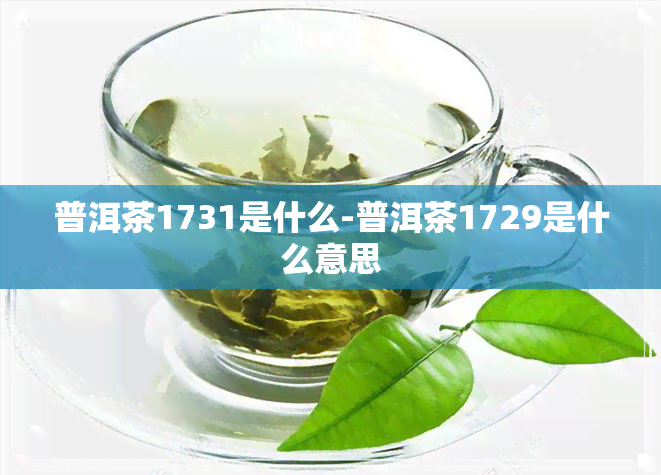普洱茶1731是什么-普洱茶1729是什么意思