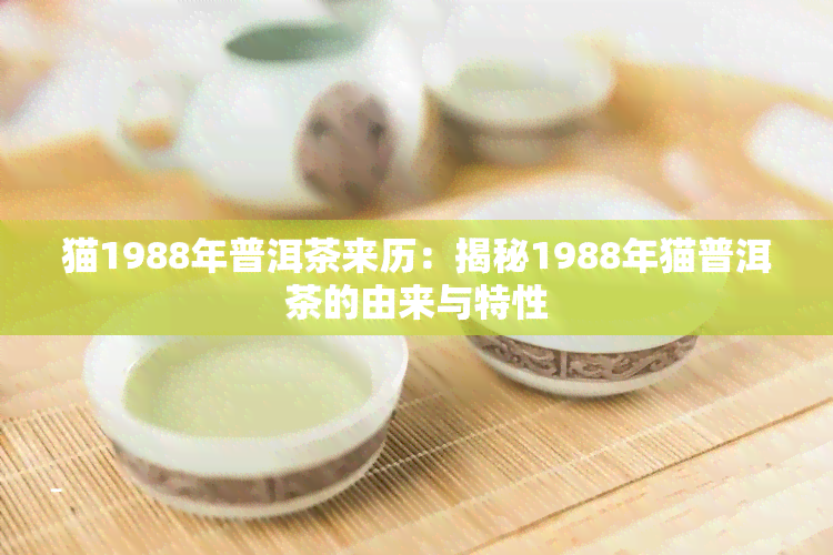 猫1988年普洱茶来历：揭秘1988年猫普洱茶的由来与特性