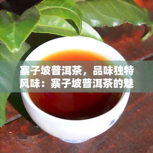 寨子坡普洱茶，品味独特风味：寨子坡普洱茶的魅力探索
