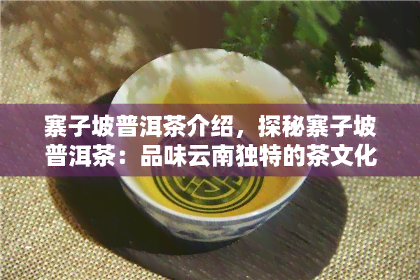 寨子坡普洱茶介绍，探秘寨子坡普洱茶：品味云南独特的茶文化