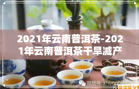 2021年云南普洱茶-2021年云南普洱茶干旱减产
