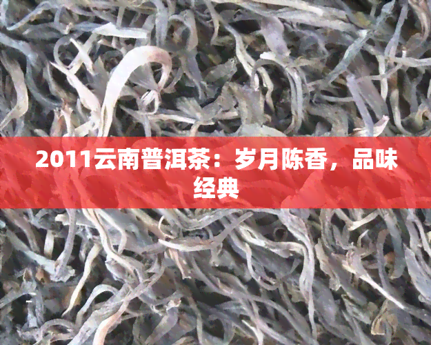 2011云南普洱茶：岁月陈香，品味经典