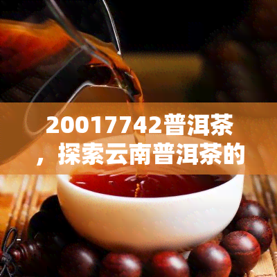 20017742普洱茶，探索云南普洱茶的魅力：20017742普洱茶的品鉴与鉴