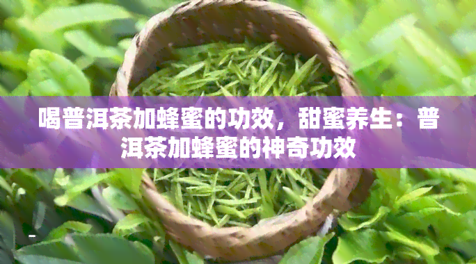 喝普洱茶加蜂蜜的功效，甜蜜养生：普洱茶加蜂蜜的神奇功效