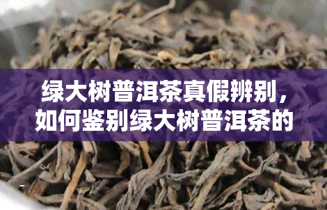 绿大树普洱茶真假辨别，如何鉴别绿大树普洱茶的真伪？