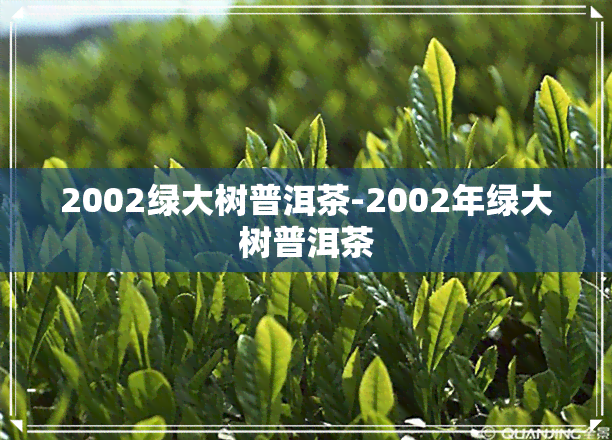 2002绿大树普洱茶-2002年绿大树普洱茶