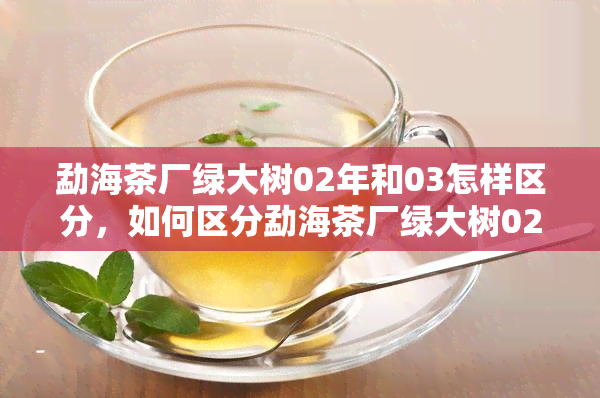 勐海茶厂绿大树02年和03怎样区分，如何区分勐海茶厂绿大树02年与03年的茶叶？