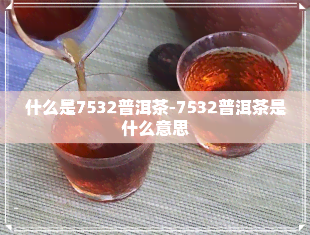 什么是7532普洱茶-7532普洱茶是什么意思