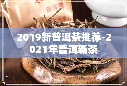 2019新普洱茶推荐-2021年普洱新茶