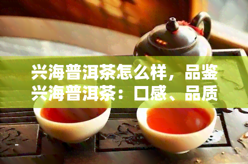 兴海普洱茶怎么样，品鉴兴海普洱茶：口感、品质与价值解析