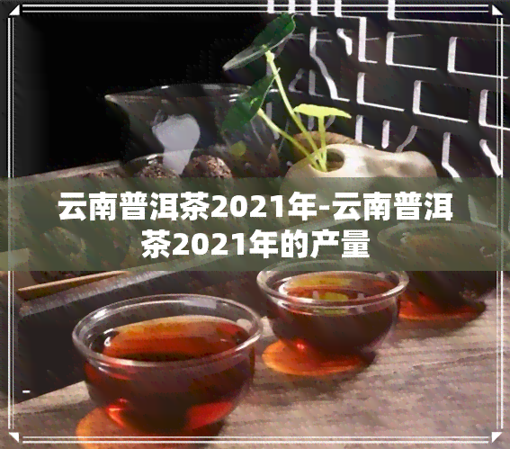 云南普洱茶2021年-云南普洱茶2021年的产量