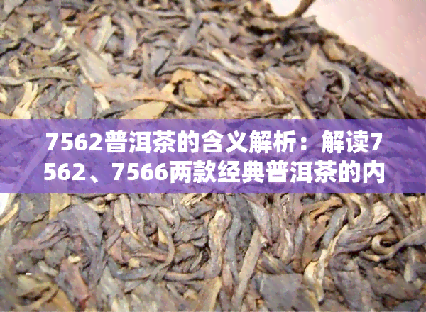7562普洱茶的含义解析：解读7562、7566两款经典普洱茶的内涵与区别