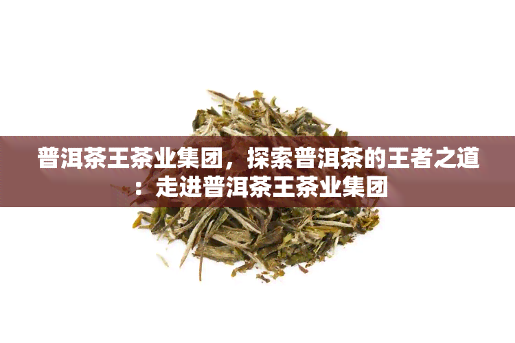 普洱茶王茶业集团，探索普洱茶的王者之道：走进普洱茶王茶业集团