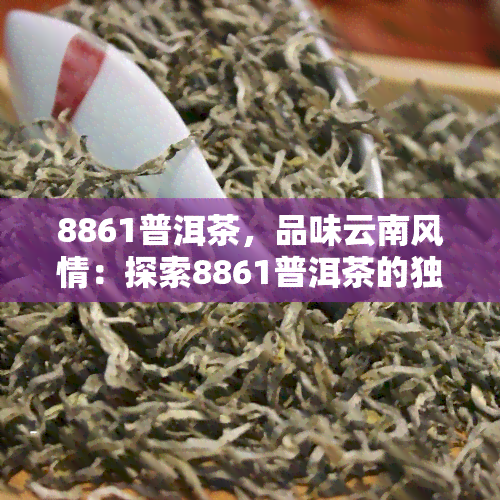 8861普洱茶，品味云南风情：探索8861普洱茶的独特魅力