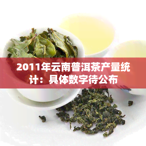 2011年云南普洱茶产量统计：具体数字待公布