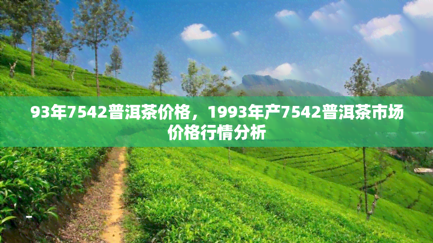 93年7542普洱茶价格，1993年产7542普洱茶市场价格行情分析
