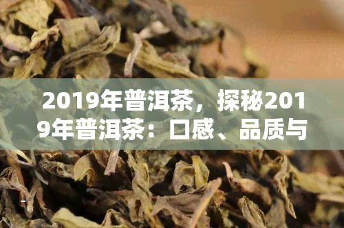 2019年普洱茶，探秘2019年普洱茶：口感、品质与市场走势