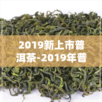 2019新上市普洱茶-2019年普洱茶