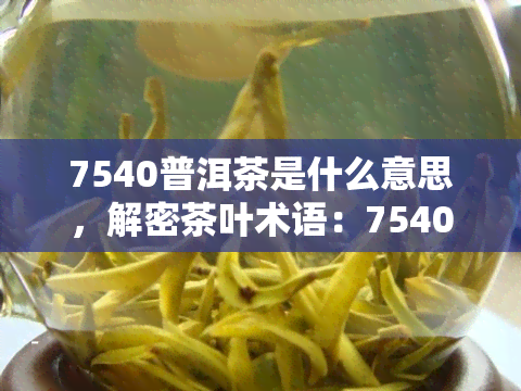 7540普洱茶是什么意思，解密茶叶术语：7540普洱茶的含义与特点