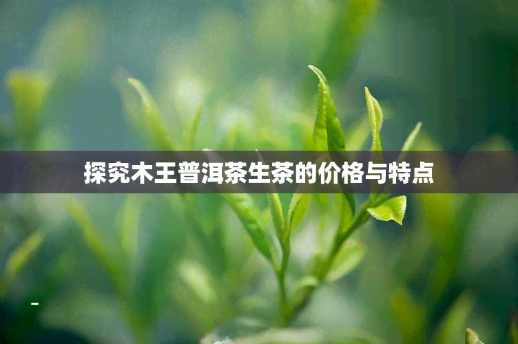 探究木王普洱茶生茶的价格与特点