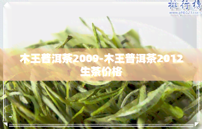 木王普洱茶2009-木王普洱茶2012生茶价格