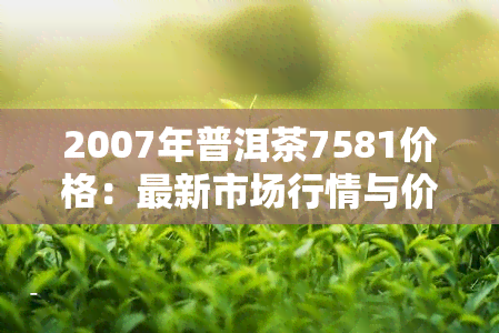 2007年普洱茶7581价格：最新市场行情与价值分析