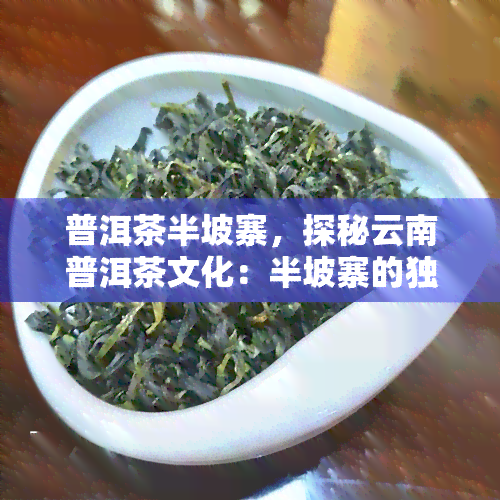 普洱茶半坡寨，探秘云南普洱茶文化：半坡寨的独特韵味与历传承